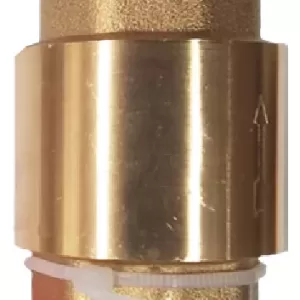 Valvula check resorte bronce